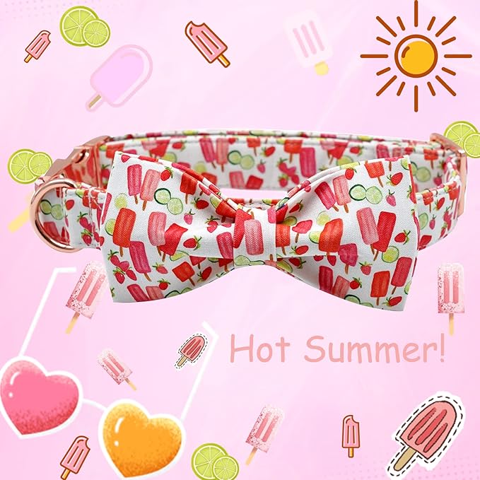 Lionheart glory Dog Collar, Dog Collar - Image 3