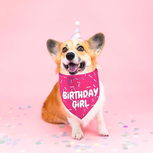 Birthday Girl Dog Bandanas 1 Pack, Pet Scarves HBD Bandanas - Image 2