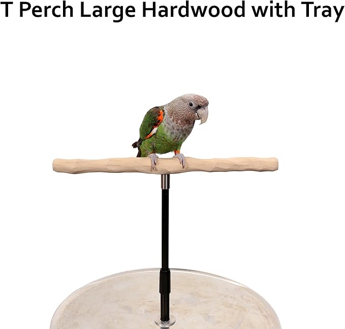 Parrot Training Perch Stand - Image 2