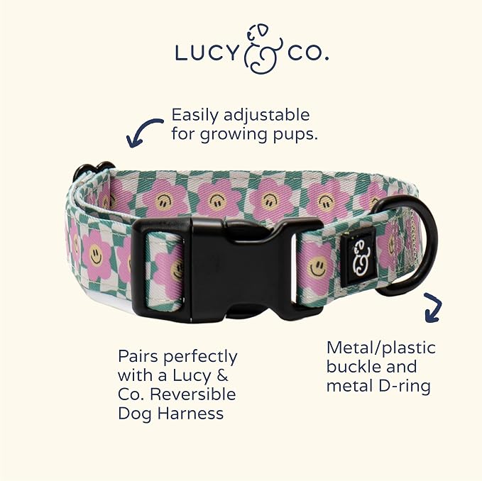 Lucy & Co. Dog Collar - Image 3