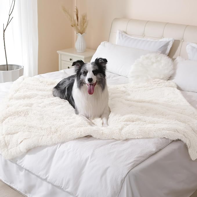 gogobunny Waterproof Dog Blanket by gogobunny