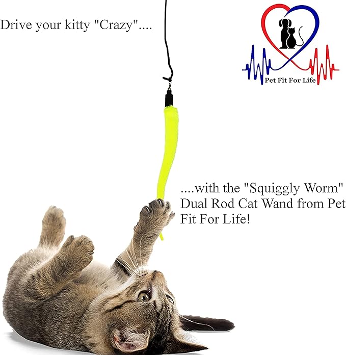 Pet Fit For Life Cat Wand Toy: 5-Piece Worm Teaser & Exerciser - Image 4