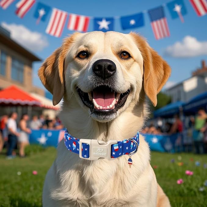 4th of July Dog Collar, Summer Popsicle Patriotic Dog Collars - Image 3