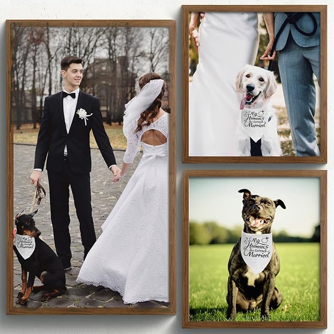 Engagement Gift, My Humans are Getting Married Dog Bandana, Wedding Photo Prop - Image 3