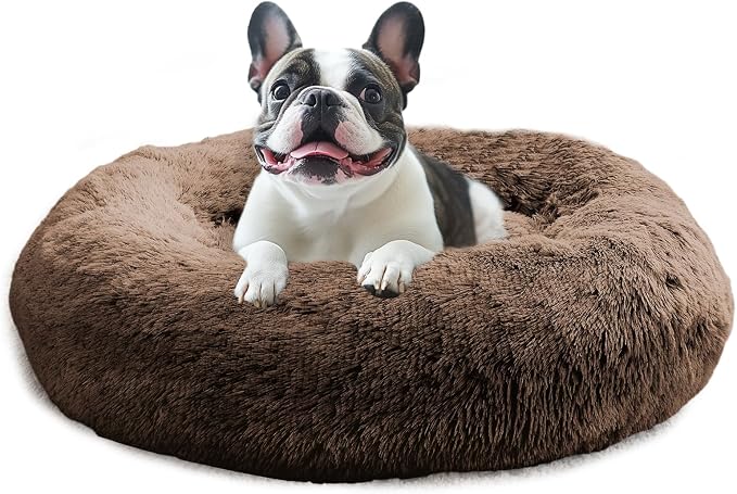 JOLLYVOGUE Calming Small Dog & Cat Bed by JOLLYVOGUE