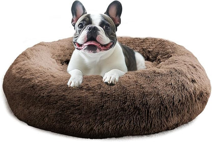 JOLLYVOGUE Calming Small Dog & Cat Bed by JOLLYVOGUE