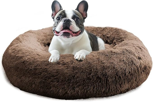 JOLLYVOGUE Calming Small Dog & Cat Bed by JOLLYVOGUE