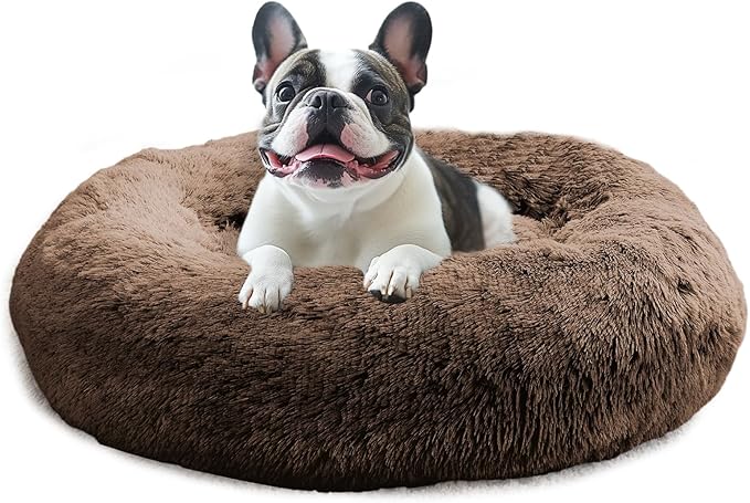 JOLLYVOGUE Calming Dog Bed for Small Dogs by JOLLYVOGUE