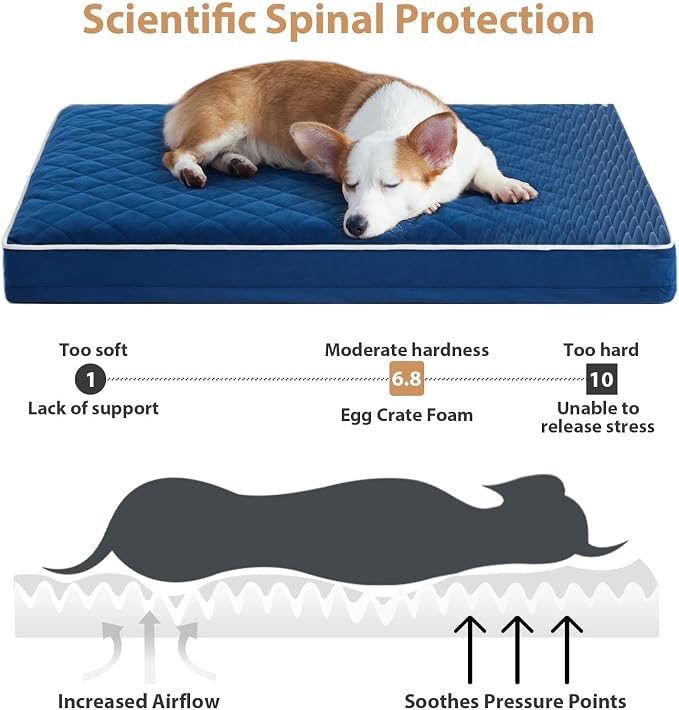 WNPETHOME Orthopedic Giant Dog Beds Large Sized Dog, Waterproof Extra Large - Image 3