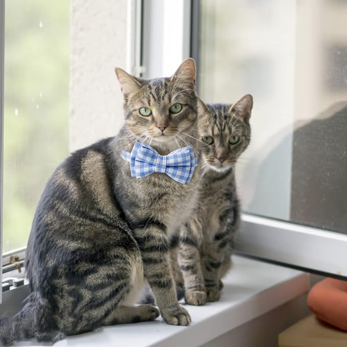 AIITLE Breakaway Cat Collar - Image 5