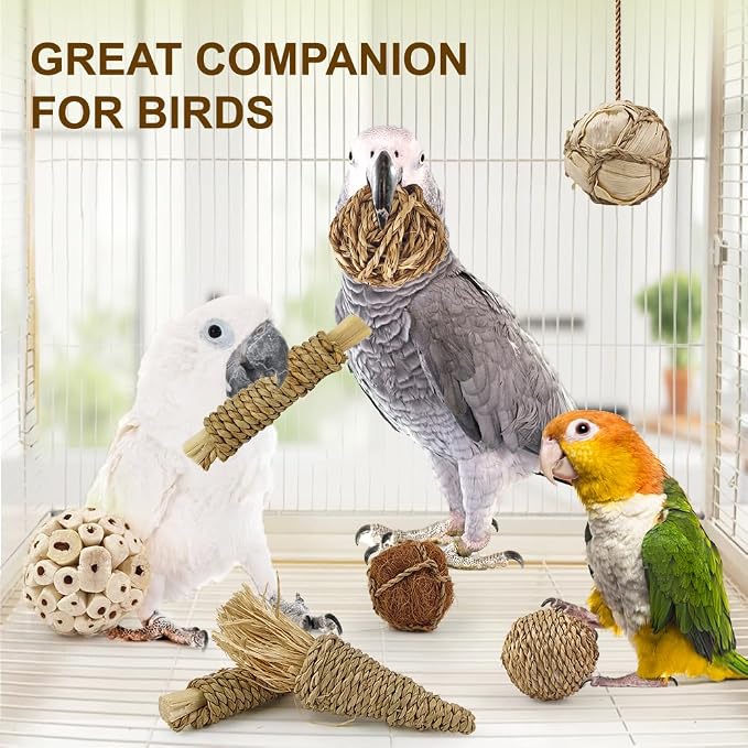7Pcs Bird Toy Large Chewing Balls - Image 2