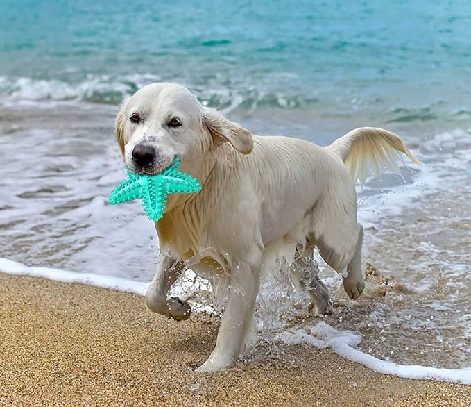 Carllg Dog Toys for Aggressive Chewers, Dog Teething Cleaning Toothbrush Toy - Image 6