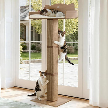 Cat Window Perch with Thick Sisal Scratching Post, Cats Hammock by GreenPetopia