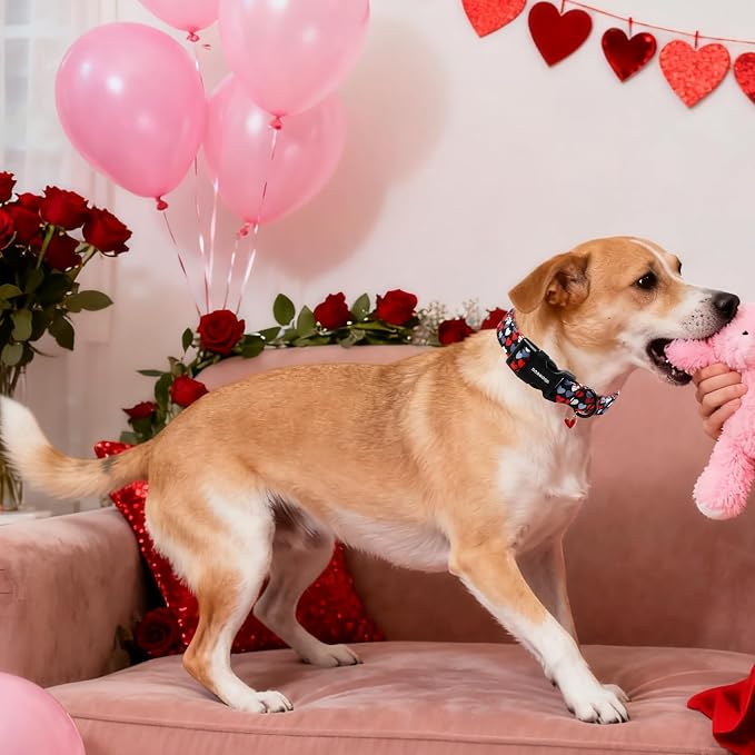 DOGWONG Red Heart Dog Collar, Cute Valentine Collar, Valentine's Day Dog Collar - Image 4