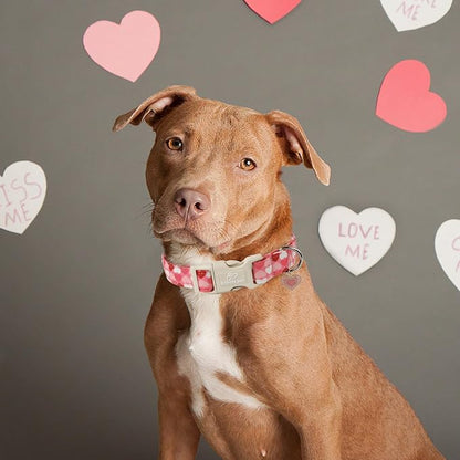 Valentines Dog Collar for Small Dogs - Image 7