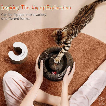 CusieryMax Cat Ball Adventure The Ultimate Interactive Mental & Physical - Image 3