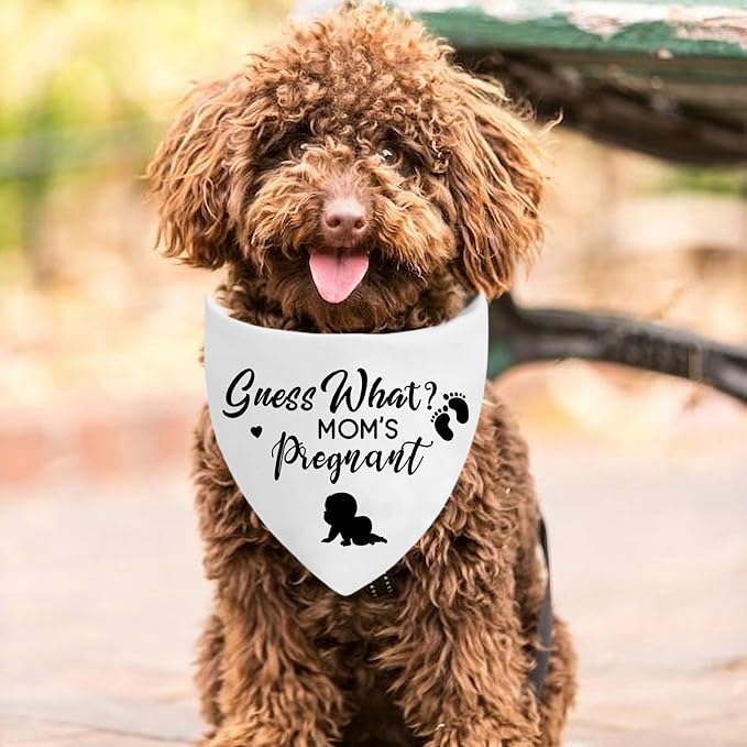 Pregnancy Announcement Dog Bandanas, Guess What? My Mom is Pregnant Reveal Scarf - Image 3