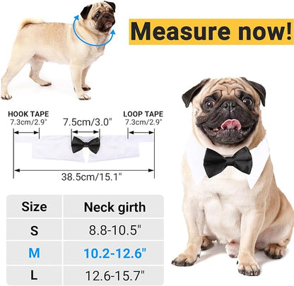 Segarty Black Bow Tie Dog Collar - Image 2