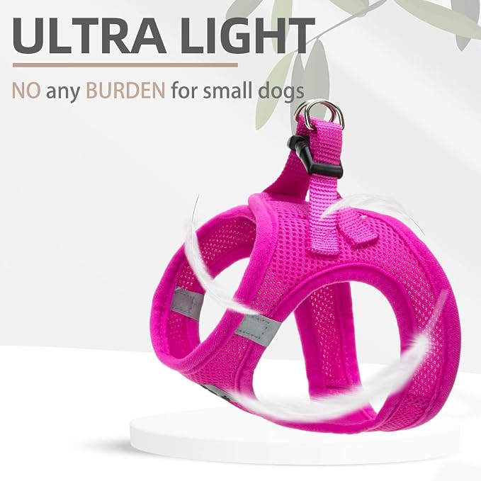 PUPTECK Adjustable Dog Harness Collar and Leash Set Step in No Pull Pet Harness - Image 6