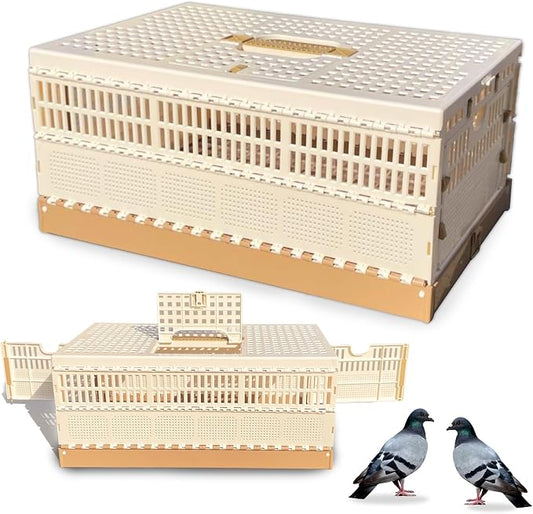 Folding Pigeon Cage Racing Pigeons Travel Cage Pairing Cage Plastic Three Doors by WEIYOONS