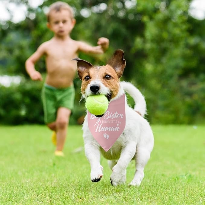 Baby Announcement Dog Bandana Big Sister to My Little Human Gender Reveal - Image 5