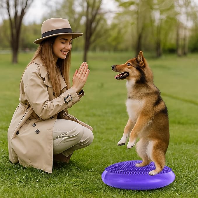 Dog Balance Disc 14", Dog Balance Equipment - Image 5