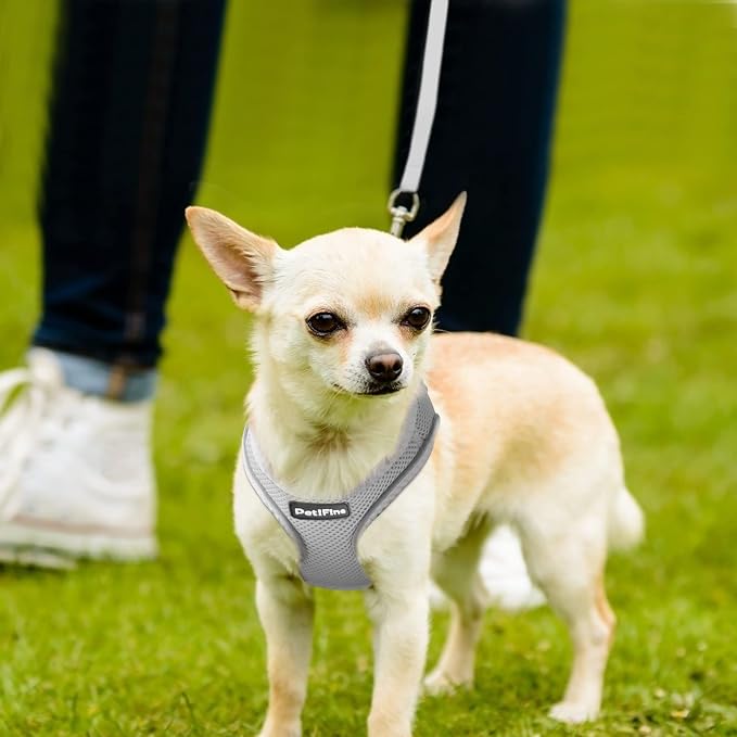 PetiFine Step in Small Dog Harness and Leash Set, Breathable All Weather Air - Image 8