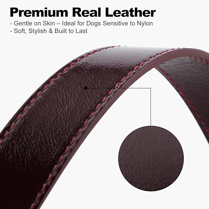 Plutus Pet Genuine Leather Dog Collar – Adjustable Pet Collar - Image 4