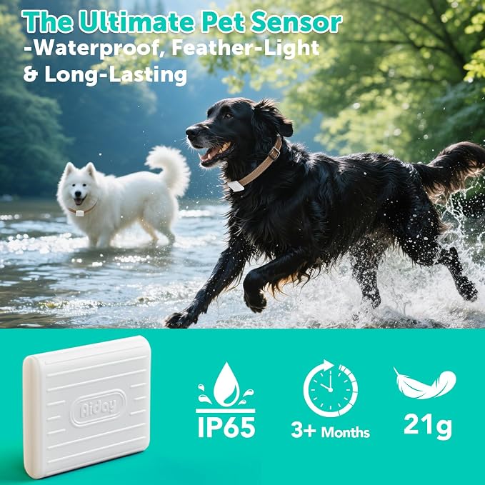 Automatic Sliding Glass Dog Door - Image 6