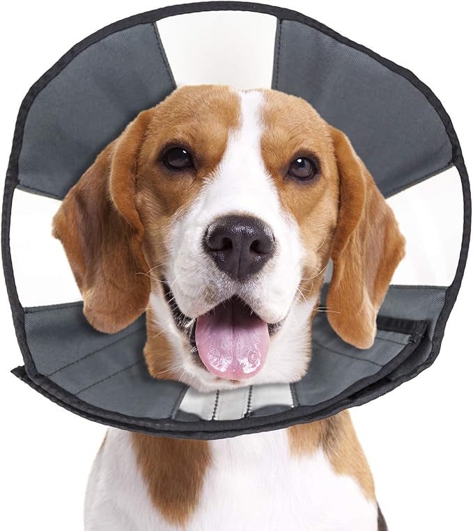 ZenPet Pet Recovery Cone E-Collar by ZenPet