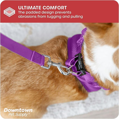 Downtown Pet Supply Step-in Dog Harness – No Pull, Adjustable Padded Mesh - Image 6