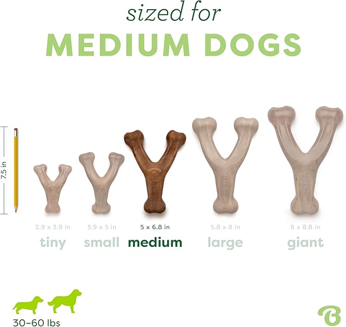 Benebone Wishbone Durable Dog Chew Toy - Image 4