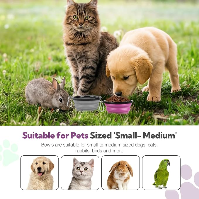 Collapsible Dog Bowl 2 Pack, Dog Water Bowls - Image 6
