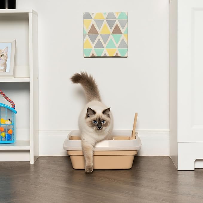 IRIS USA Cat Litter Box, Open Top - Image 4