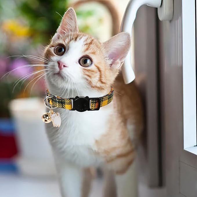 Unique style paws 2 Pack Kitten Collar Breakaway - Image 5
