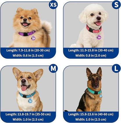 Reflective Dog Collar for Medium Dogs - Image 7