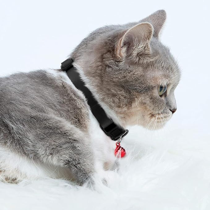 Breakaway Cat Collar with Bell - Image 6
