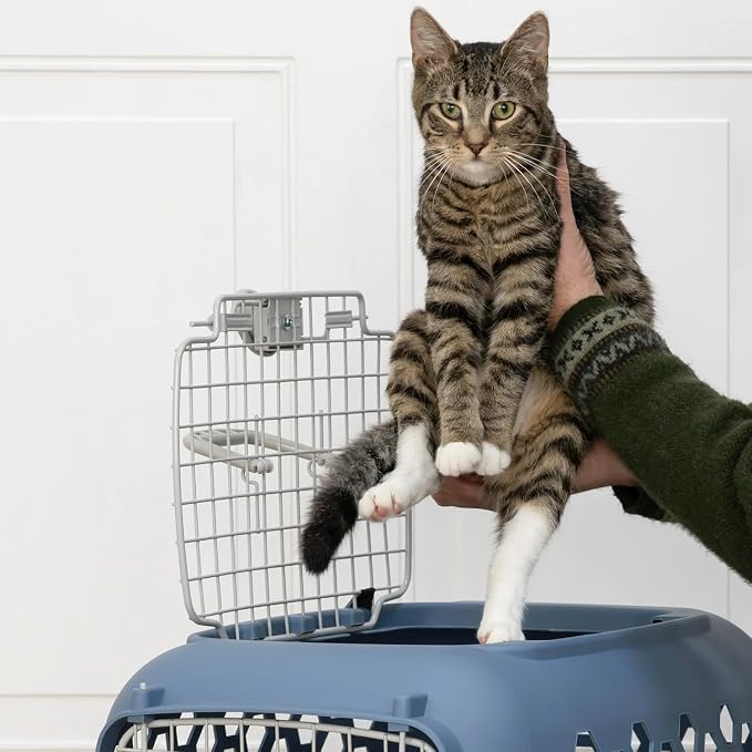 Portable Double Door Plastic Pet Carrier - Image 9