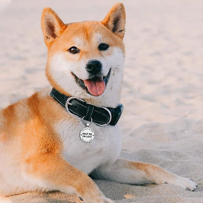 MYLUCKYTAG QR Code Pet ID | Personalized Dog & Cat Collar Tag | Online Profile - Image 3