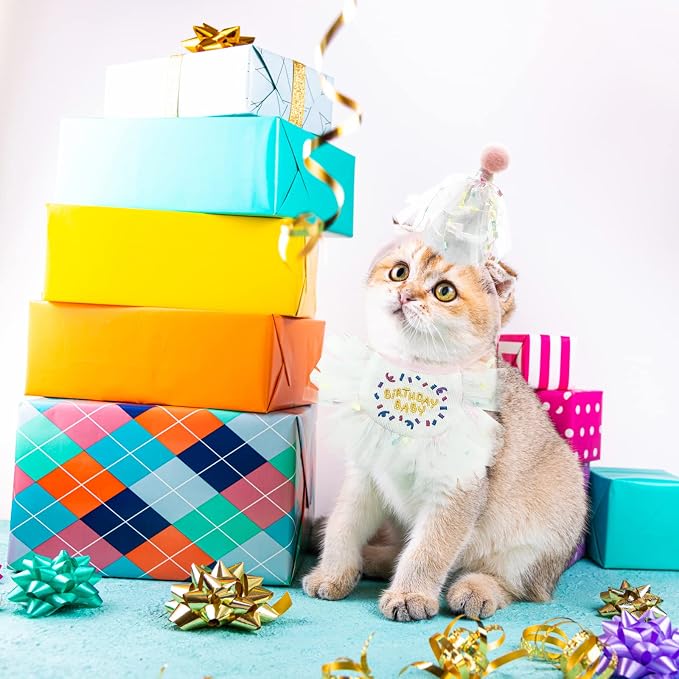 2 PCS Cat Doggy Party Hat & Bib Set - Image 3