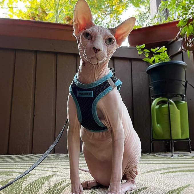 Best Pet Supplies - Image 8