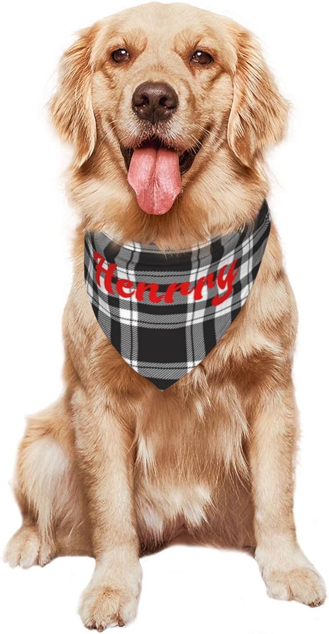 Custom Pet Scarf Personalized Dog Bandana - Image 8