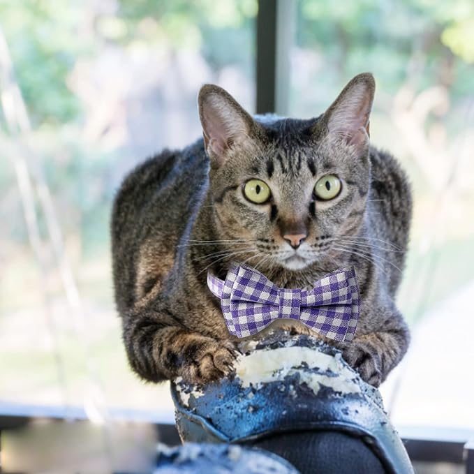 AIITLE Breakaway Cat Collar - Image 4