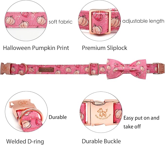 Elegant Little Tail Dog Collar - Image 2