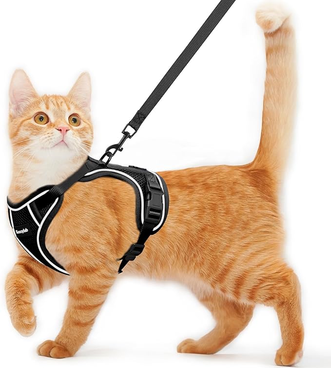 Cat Harness and Leash for Walking Escape Proof Soft Adjustable Cat Leash by Unknown