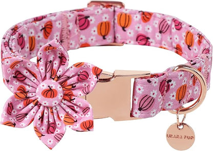 Halloween Pumpkin Dog Collar by UPURARAPUP