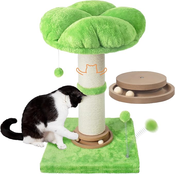 Fantasreen Scratching Post 25 Inch Tall Cat Scratcher by Fantasreen