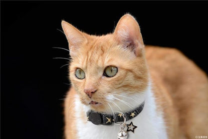 BoomBone Star Charm Studded Cat Collar Breakaway - Image 4