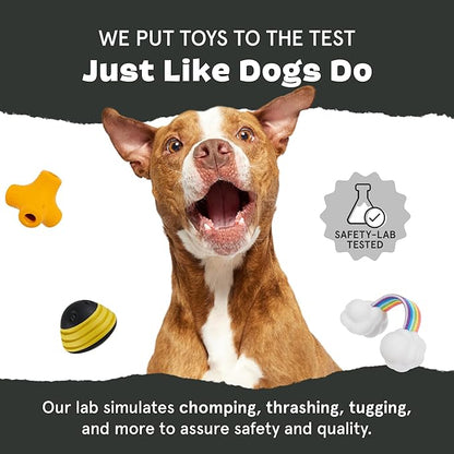Barkbox Super Chewer Tough Dog Chew Toys - Image 7