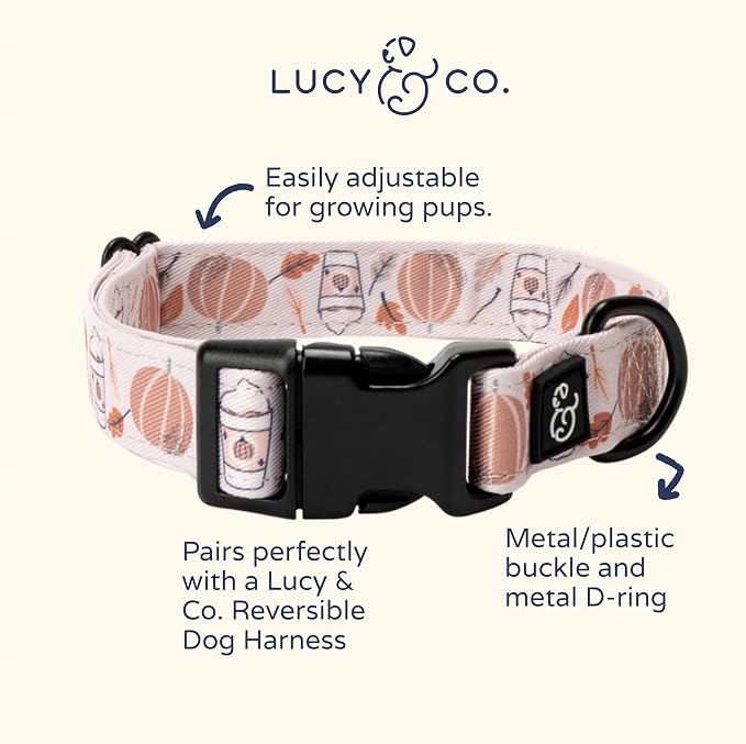 Lucy & Co. Awesomely Autumn Dog Collar - Image 2